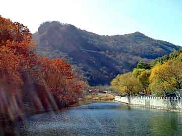 新澳天天开奖资料大全旅游团，山东龙口海景房骗局